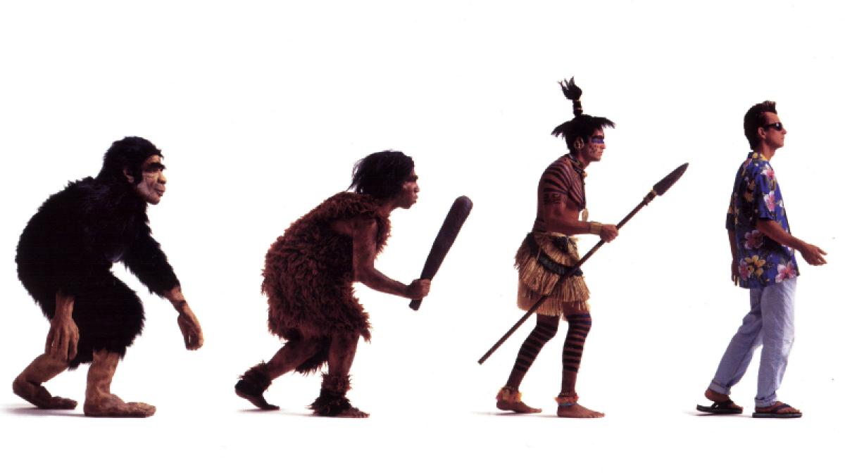 teorii despre cum am ajuns oameni si de ce sunt toate gresite