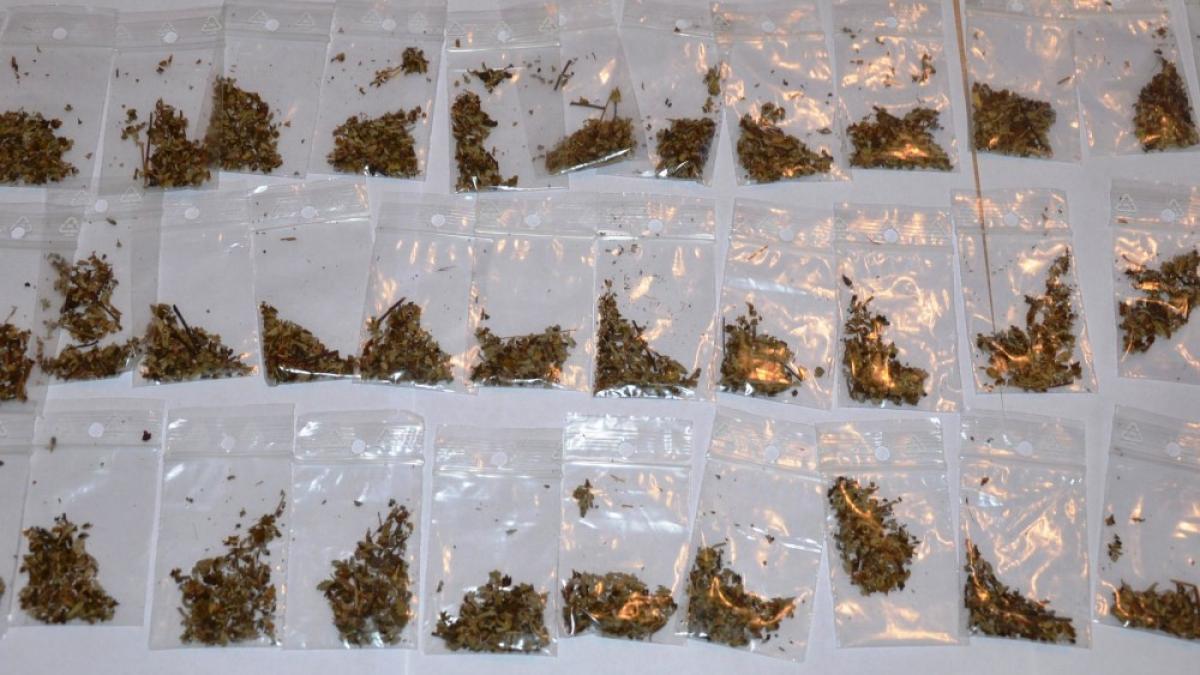 elev in stare grava dupa ce a consumat etnobotanice