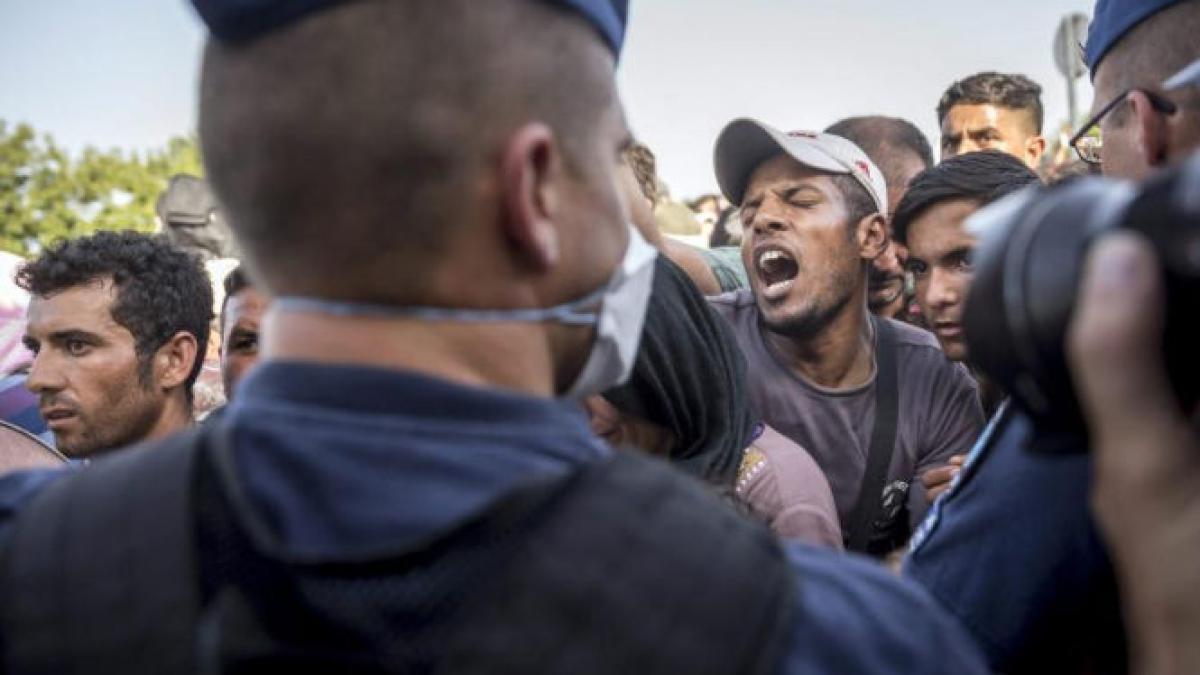 studiu jumatate din refugiatii care ajung in germania sufera de afectiuni psihologice