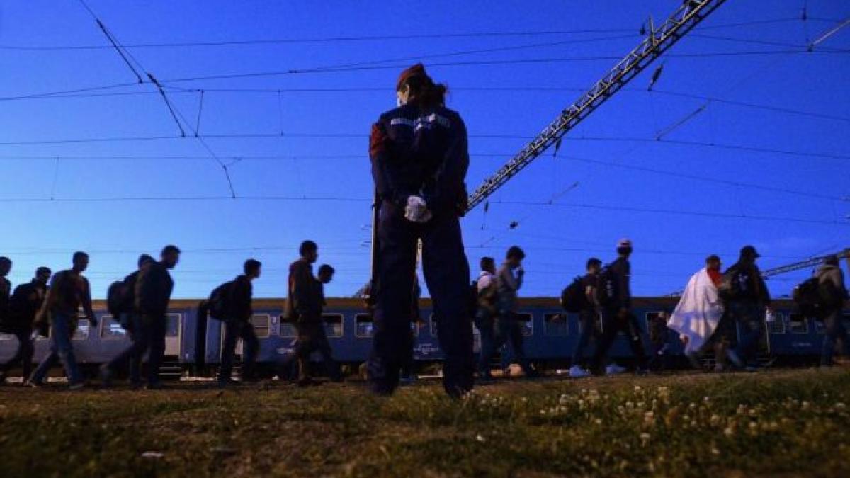 cati imigranti va primi in final romania decizia in aceasta saptamana