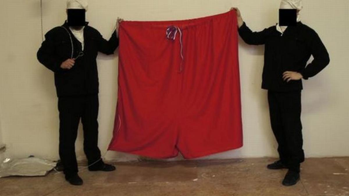 steagul cehiei de pe palatul prezidential inlocuit cu o pereche de izmene