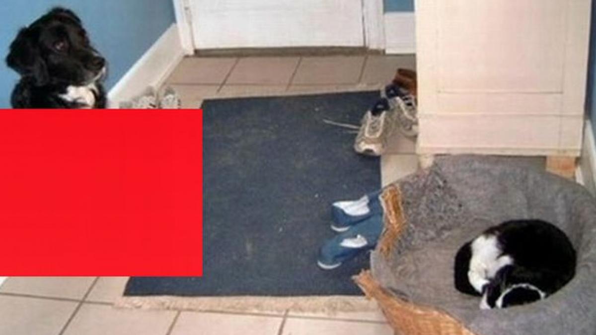 sunt cei mai buni prieteni iar ea profita de generozitatea lui imaginea care a starnit hohote de ras