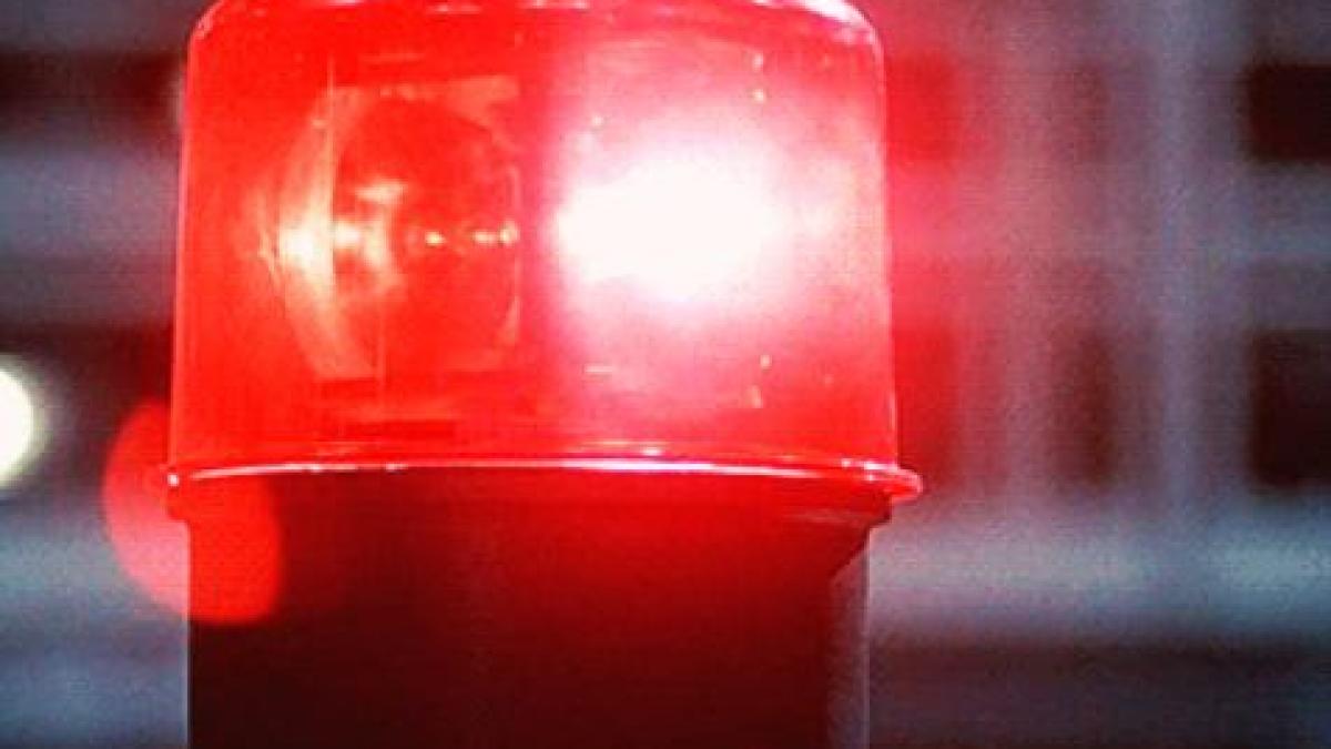 alerta de purici in constanta