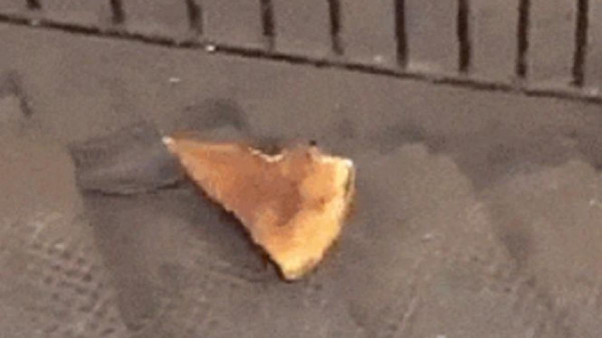 este noua senzatie a internetului peste un milion de oameni i au admirat determinarea