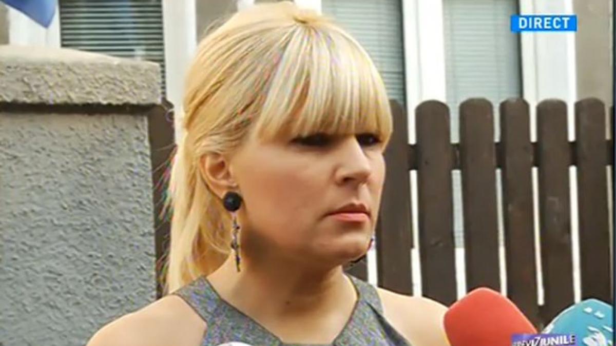 udrea despre oprescu pana nu moare cineva in arest nu se va schimba ceva