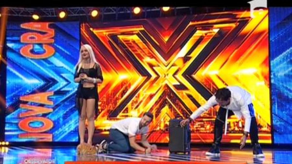 bizou motanul de la x factor care i a fermecat pe jurati