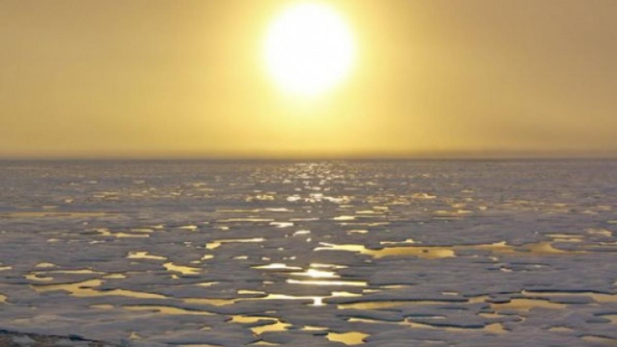 efectele incalzirii globale asupra planetei noastre primele schimbari sunt vizibile deja