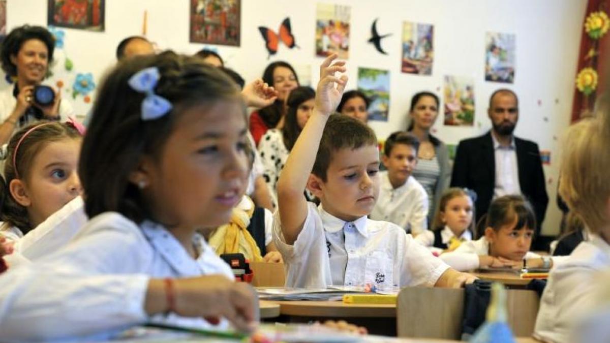 gradinitele si scolile private vor plati impozit pe profit facultatile raman scutite