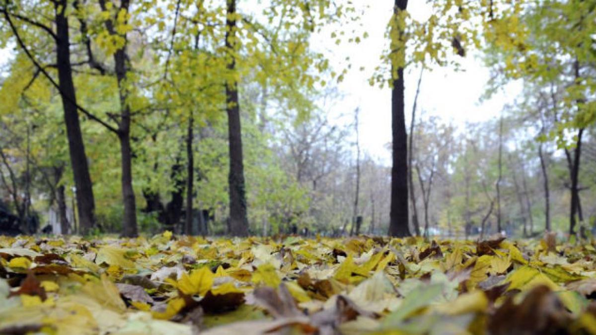 vremea va fi instabila vezi prognoza meteo pentru joi si vineri