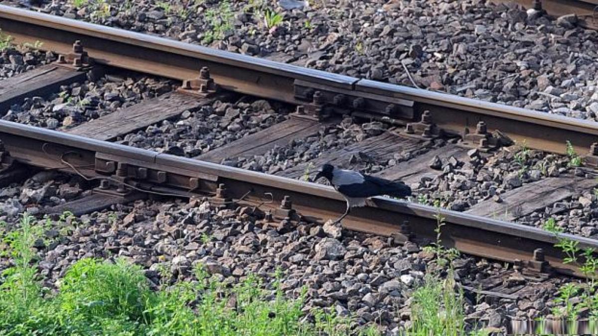 infrastructura feroviara din romania pe ultimul loc in ue