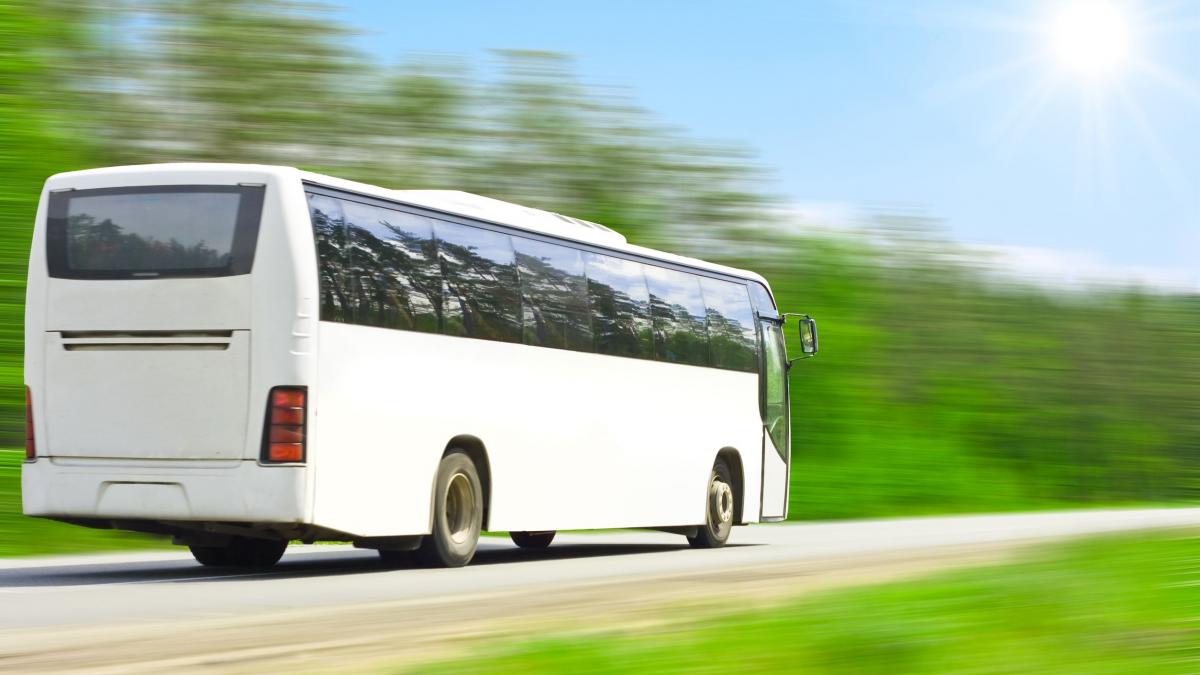 e oficial firmele de transport calatori din romania nu mai au voie sa faca asta