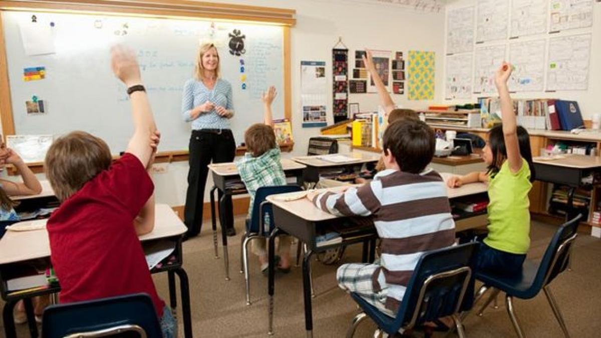 ong urile cer introducerea educatiei sexuale in scoli ca disciplina obligatorie