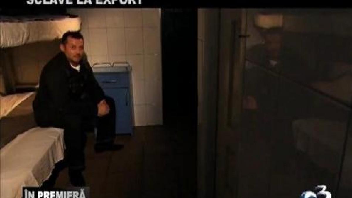 cati bani poate castiga un proxenet roman sumele sunt fabuloase