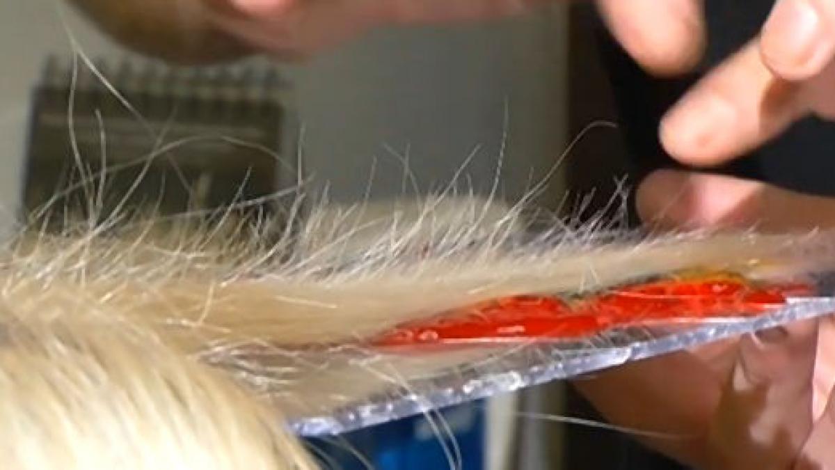 cea mai noua tehnica de vopsit parul