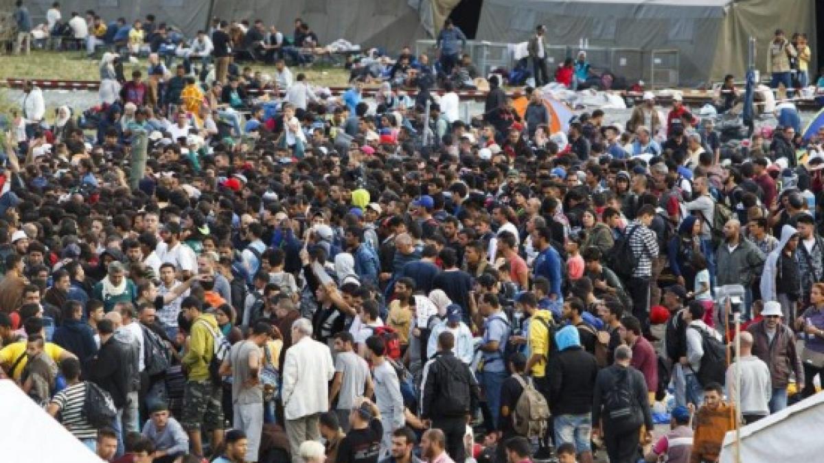 video sute de refugiati s au batut intre ei