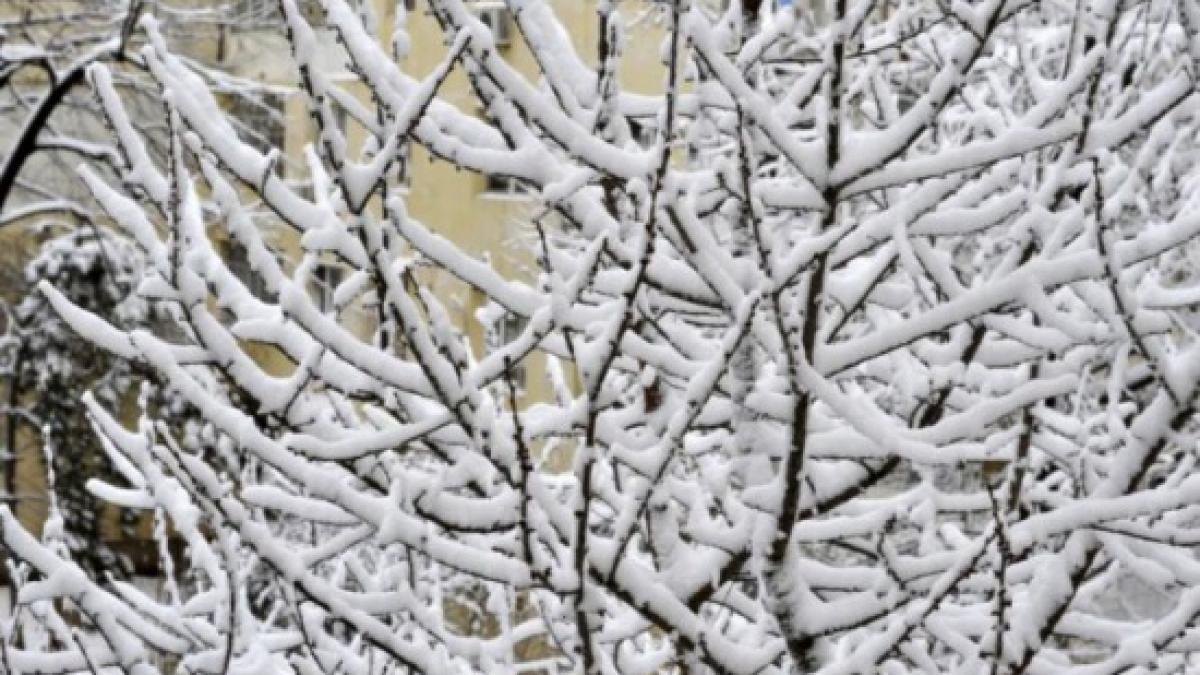 a venit iarna in romania ninge viscolit si stratul de zapada are deja cativa centimetri