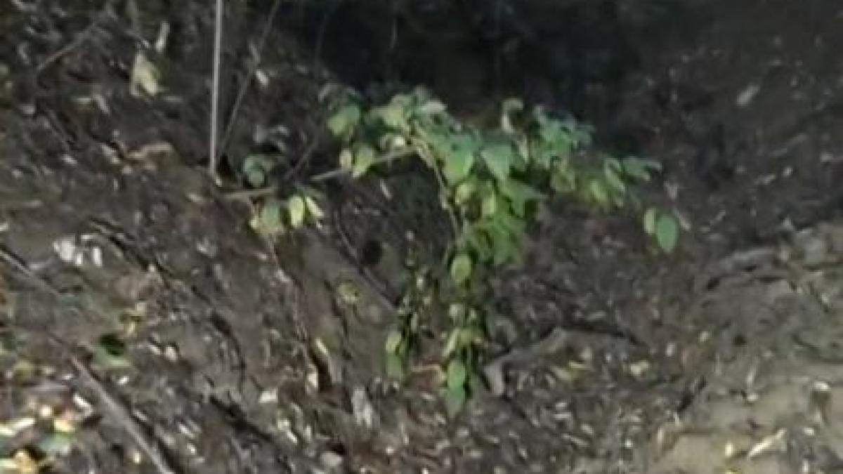 copil ucis si legat cu sarma ghimpata baiatul era disparut din luna mai