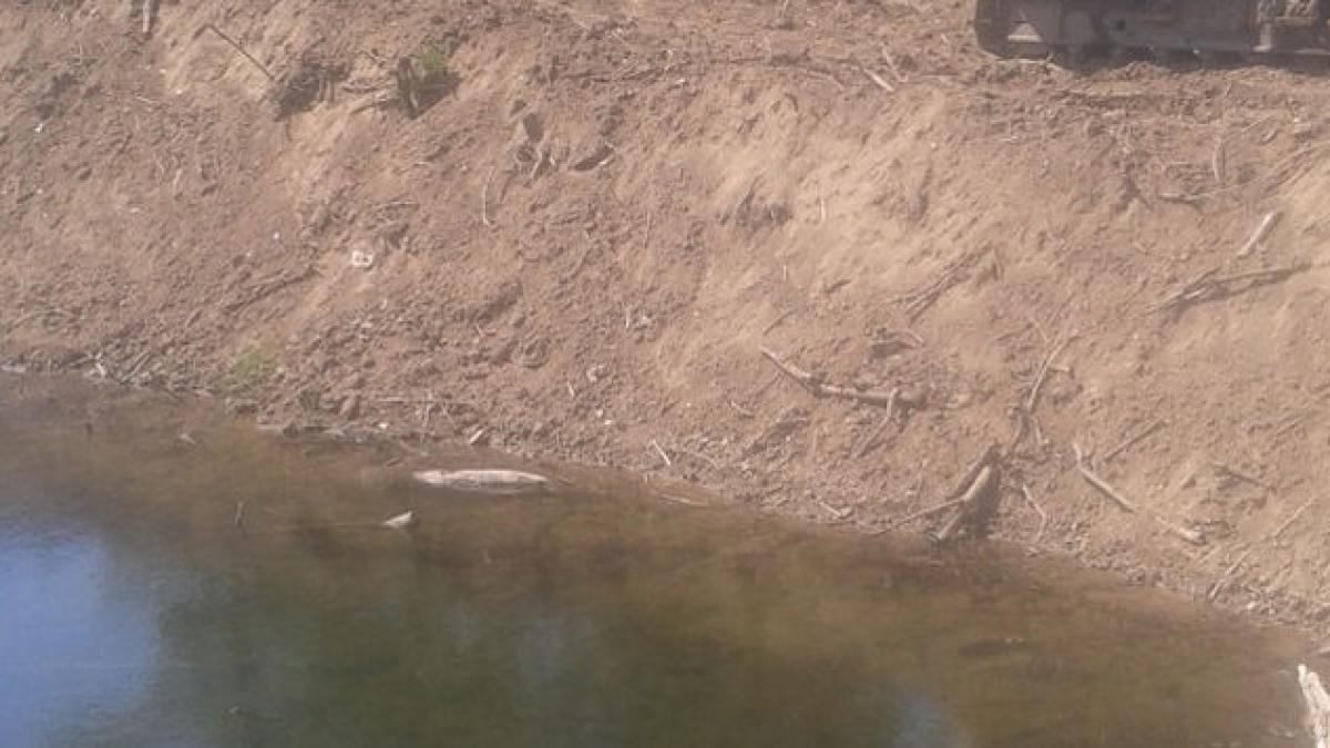 afacerile care produc bani si dezastre naturale