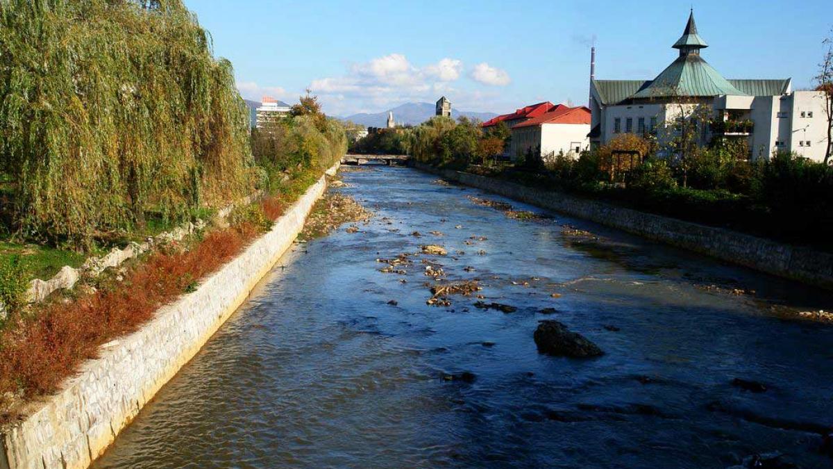 descoperire macabra intr un rau din baia mare