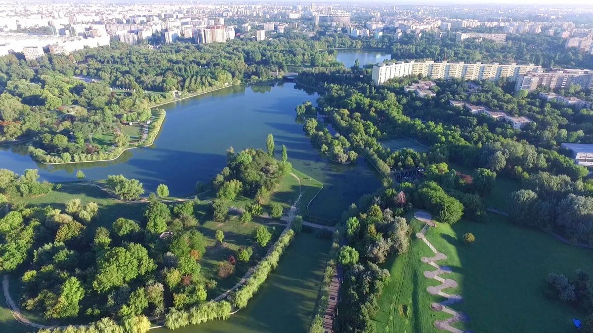 marturia incredibila a batranului care a primit parcul ior aveau nevoie de mine numai ca pion