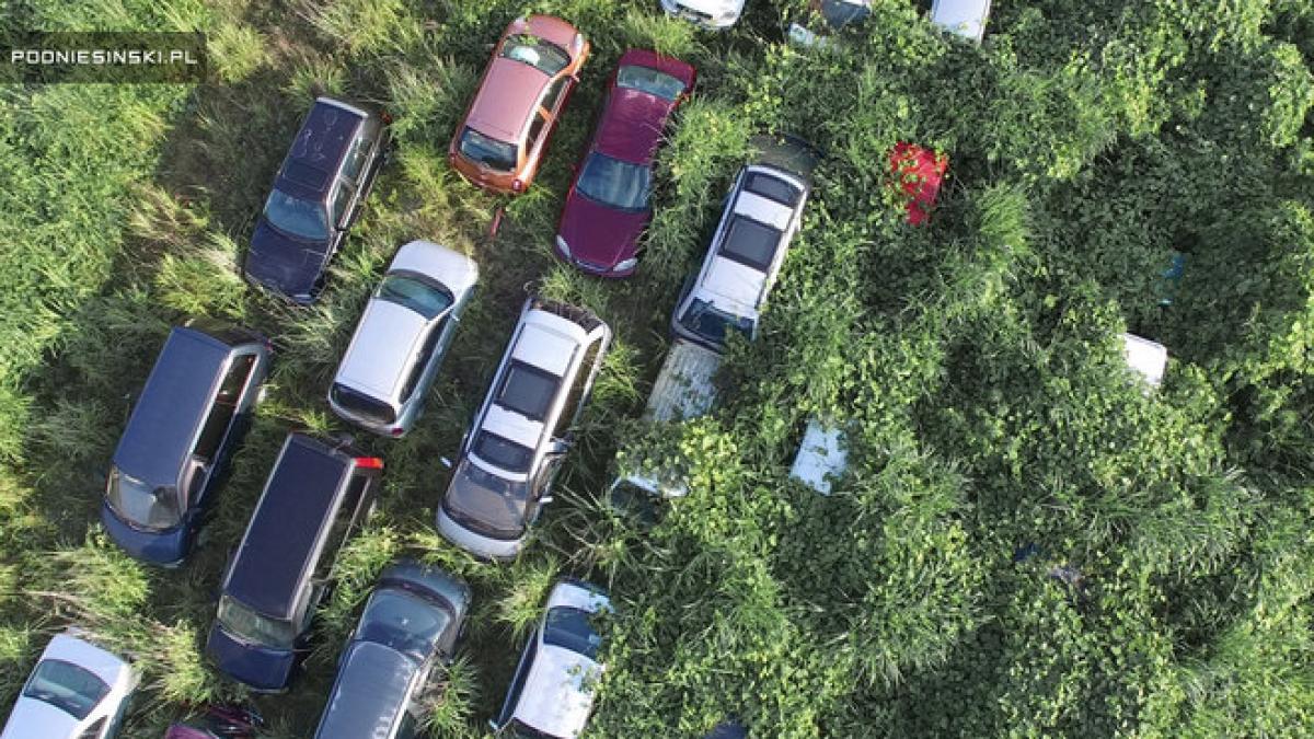 imagini incredibile vezi cum arata fukushima dupa accidentul nuclear din 2011