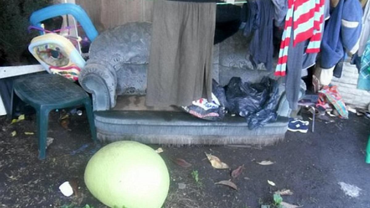 politia anti sclavie a gasit 50 de imigranti romani intr o casa din marea britanie