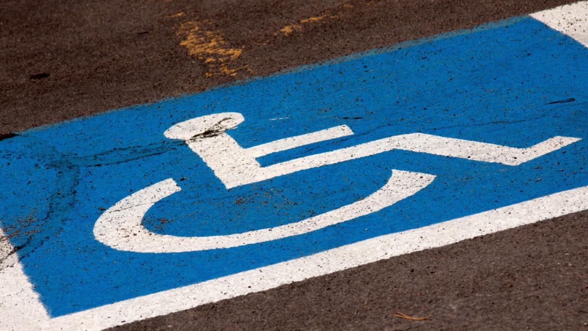 bizon in brazilia a parcat ilegal apoi a venit rasplata zeci de milioane de oameni au ras de el