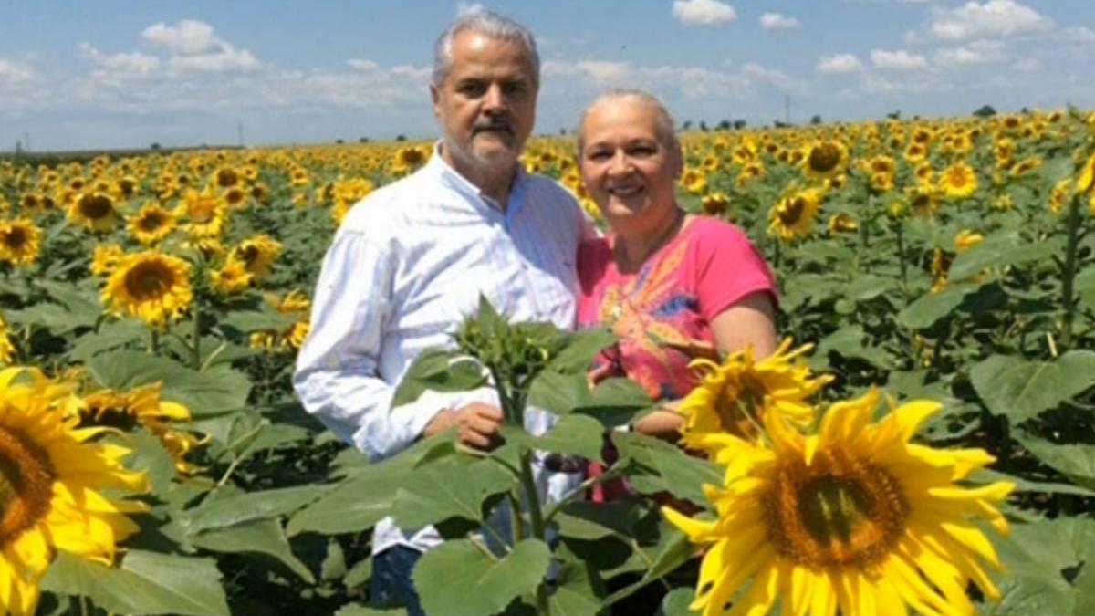 deziluzia optica de zeghe n lanul de secara