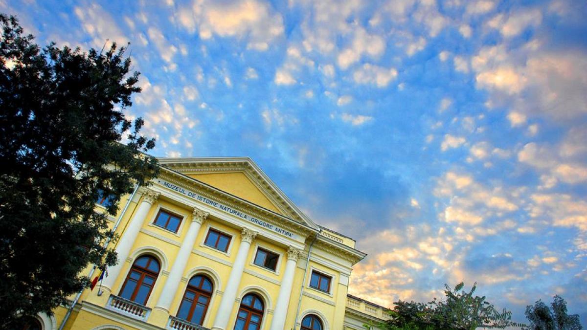 ziua animalelor serbata la antipa mesajul muzeului a starnit amuzament pe facebook