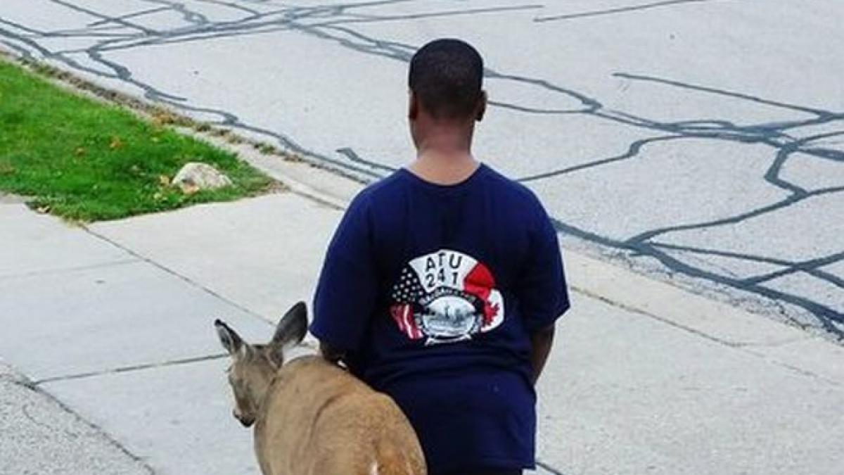 a gasit o caprioara oarba in fata casei ce a facut acest baietel este emotionant maturitatea lui a