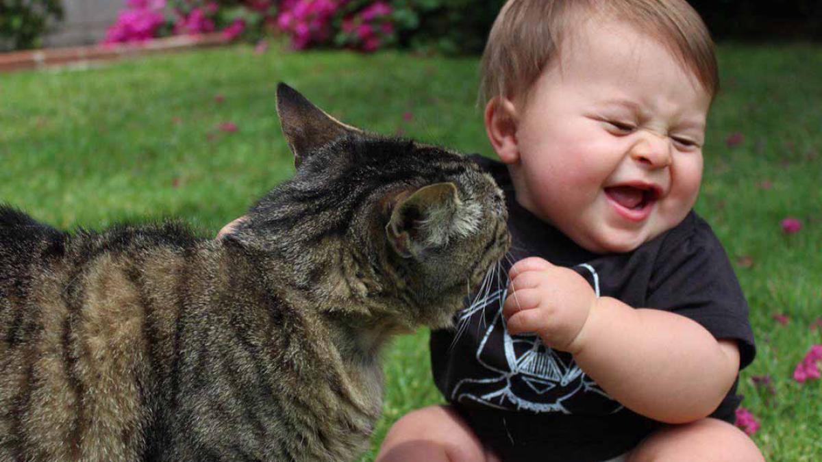 de ce radem cand suntem gadilati