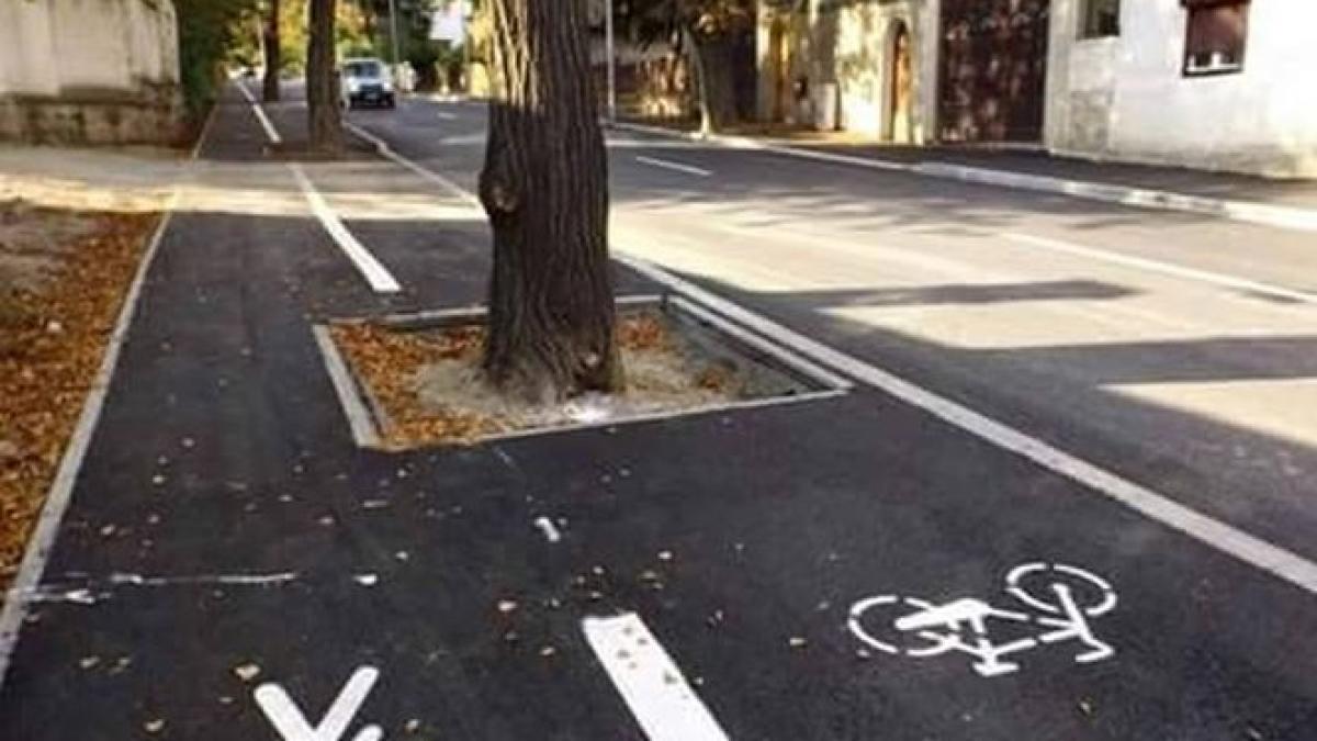 made in romania pista de bicicleta prin copaci