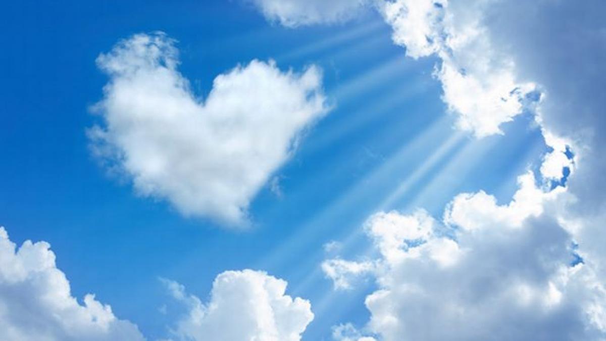 cele mai statornice zodii in procente cu cine sa te cuplezi daca vrei sa te casatoresti