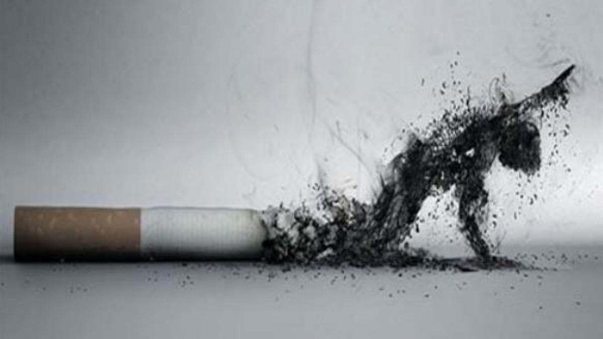 de ce intarzie aparitia legii antifumat un specialist explica