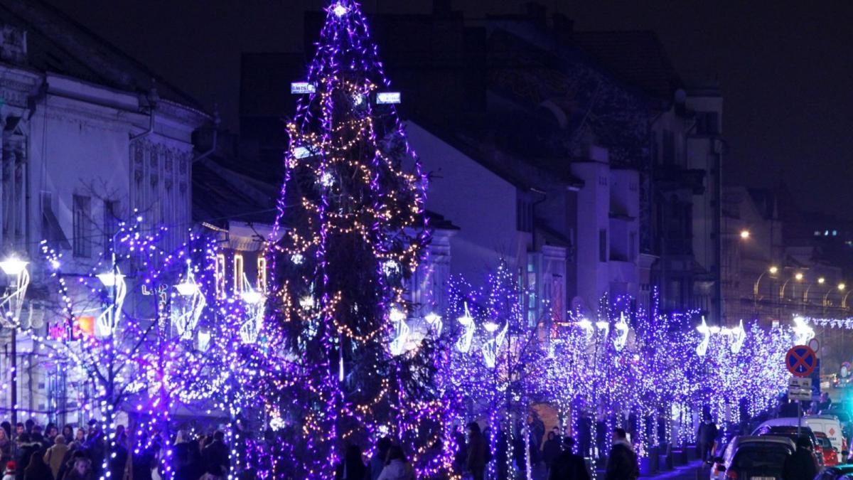 un clujean vrea sa i doneze lui boc un brad imens de craciun vezi ce conditie pune