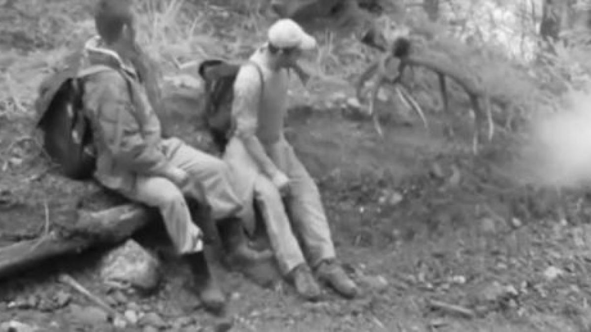 caz de braconaj surprins de camerele video