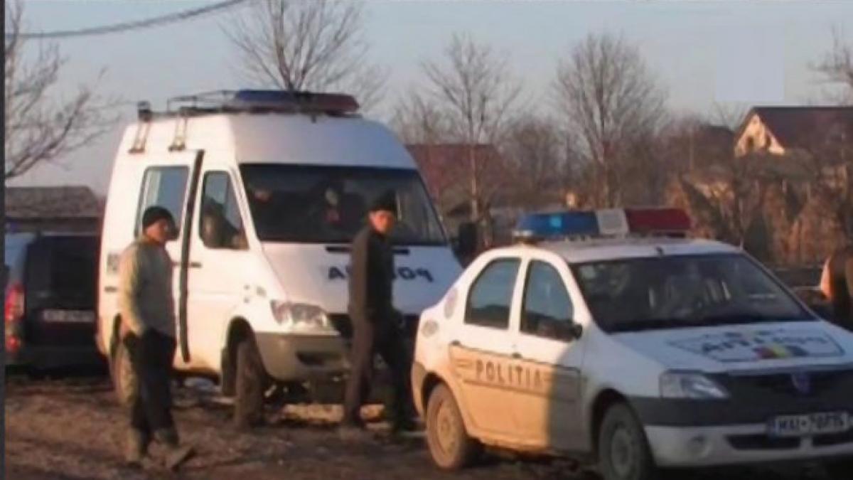 ce au patit tinerii din braila care s au filmat in timp ce chinuiau un caine