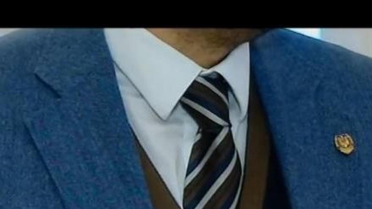 haina il face pe parlamentar