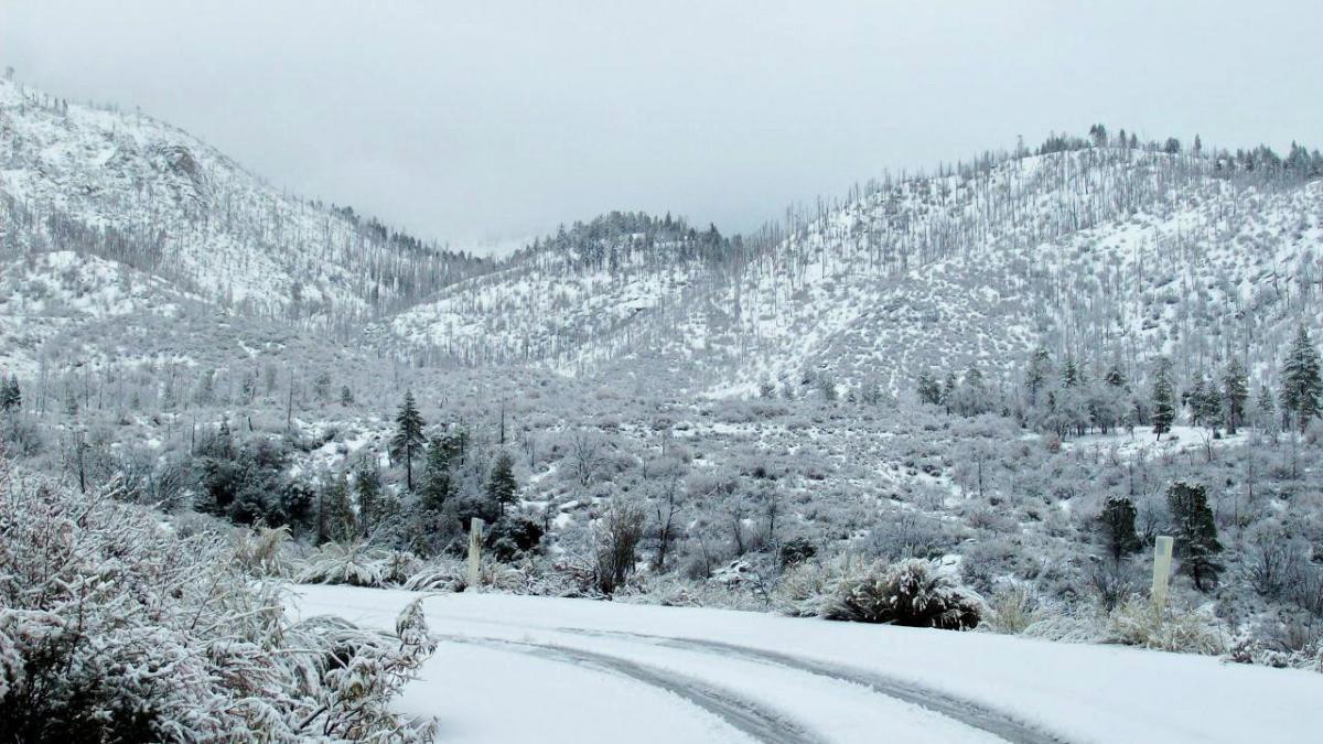 imagini cu ninsorile abundente din tara