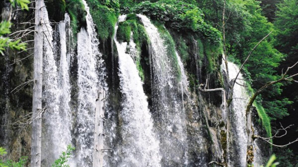 secvential razboi pe planeta romania se preda