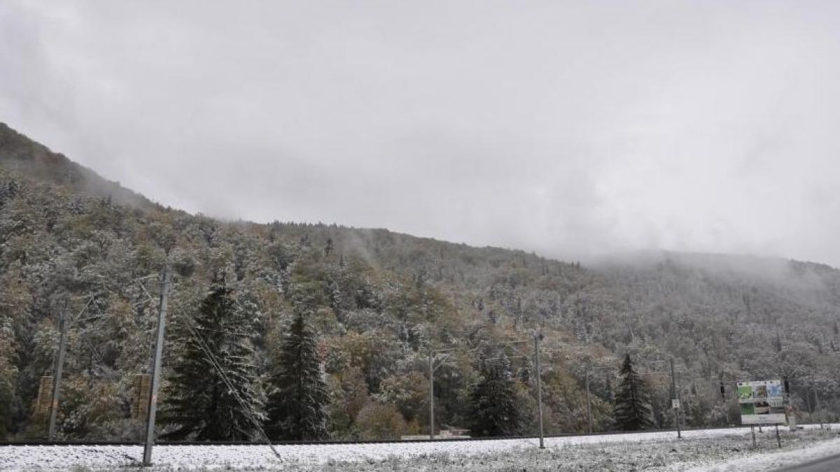 video primele imagini cu ninsoarea din suceava