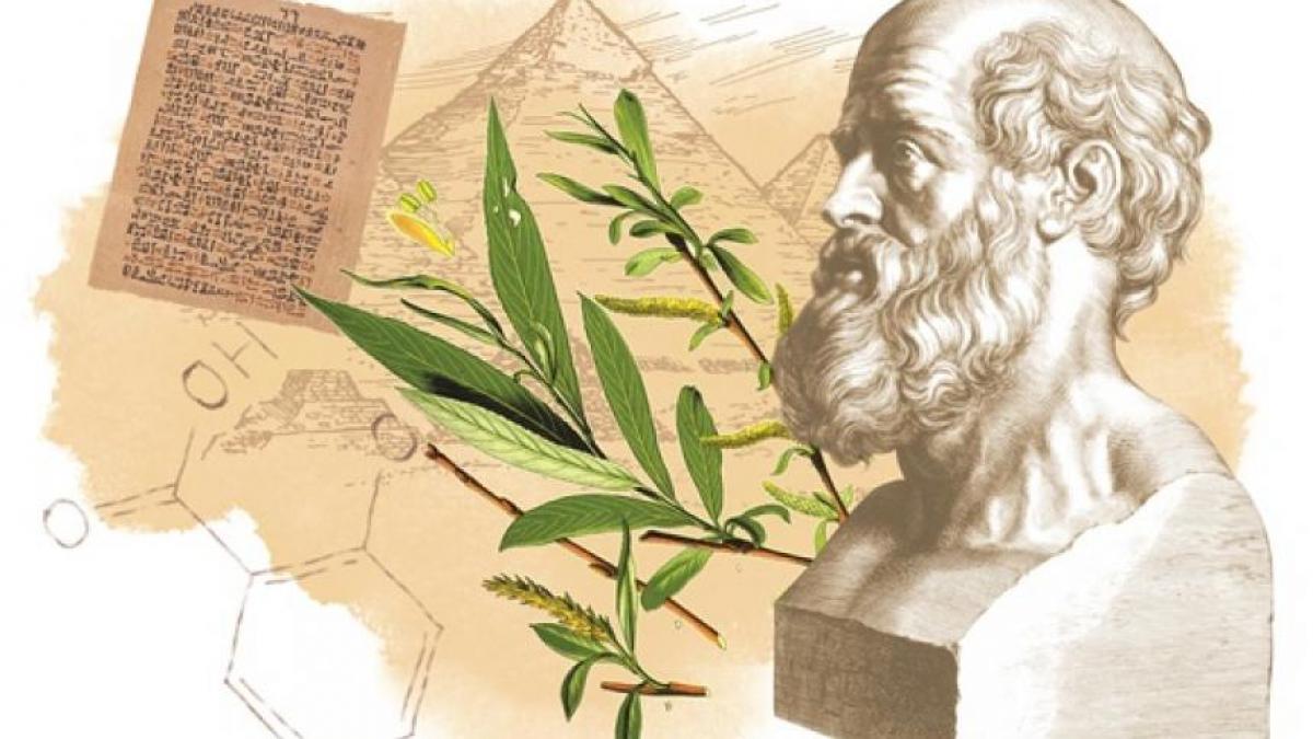 aspirina mostenirea sumerienilor salcie medicamente