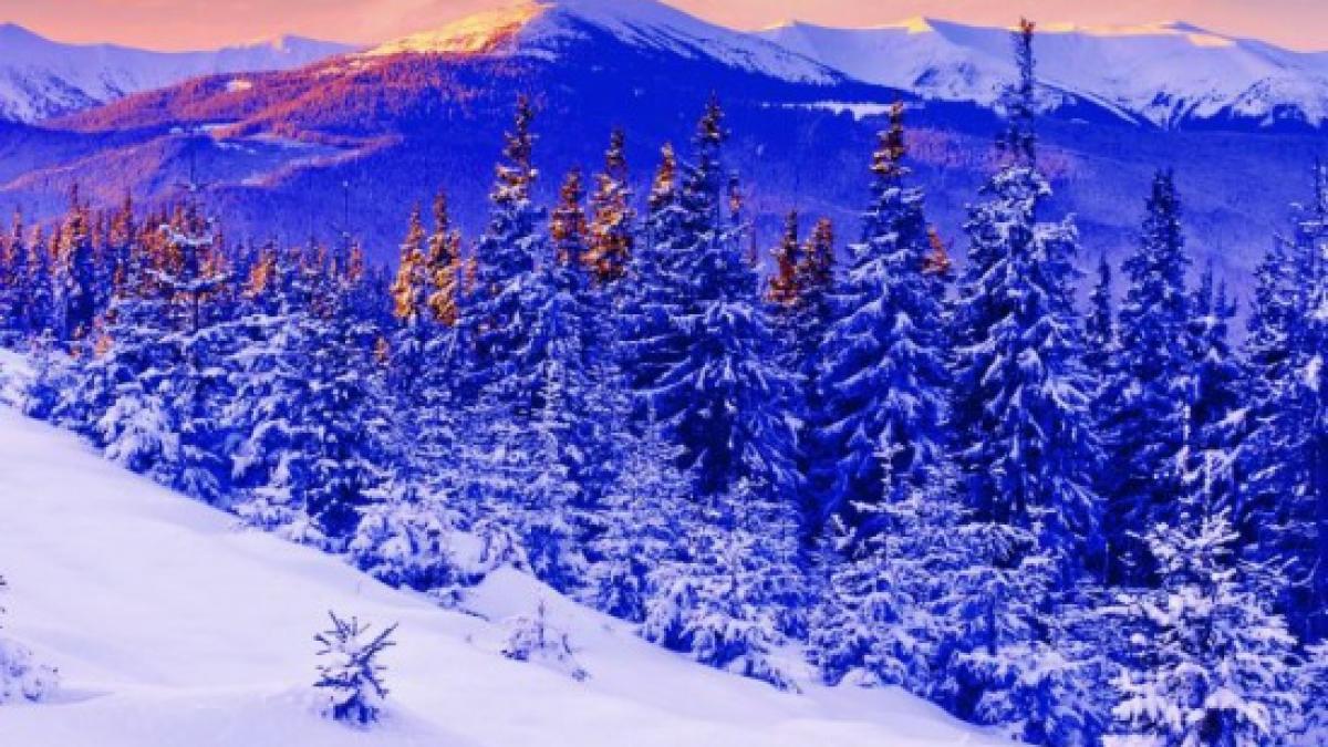 frig octombrie 50 de ani