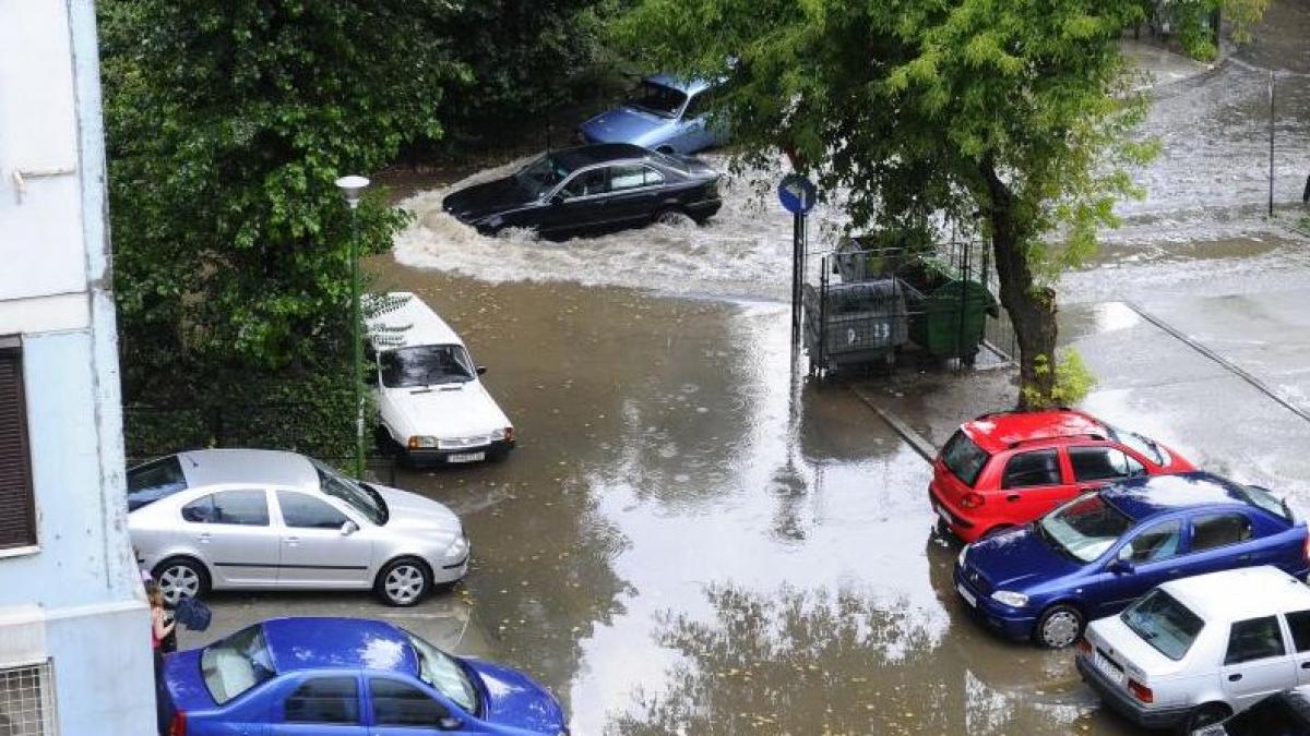 accidente rutiere ploi vreme meteo