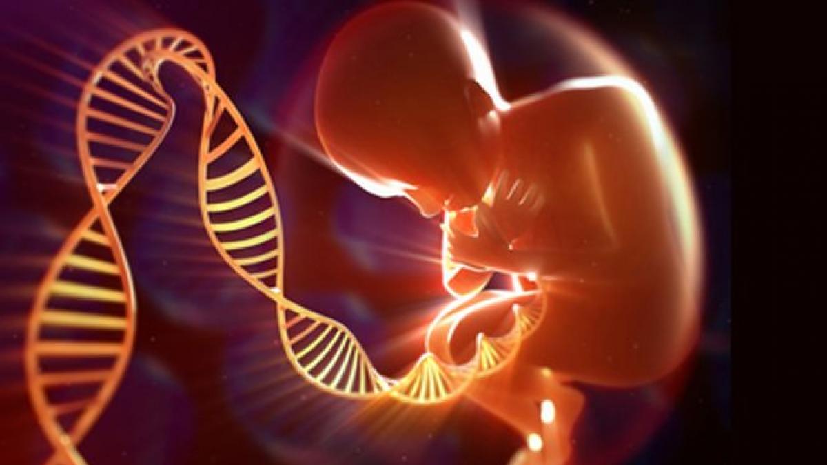 descoperire viata prelungita genetica