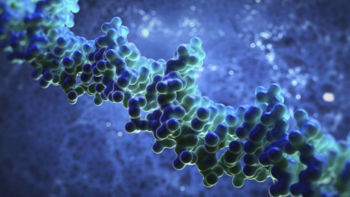 orientarea sexuala prevazuta test genetic