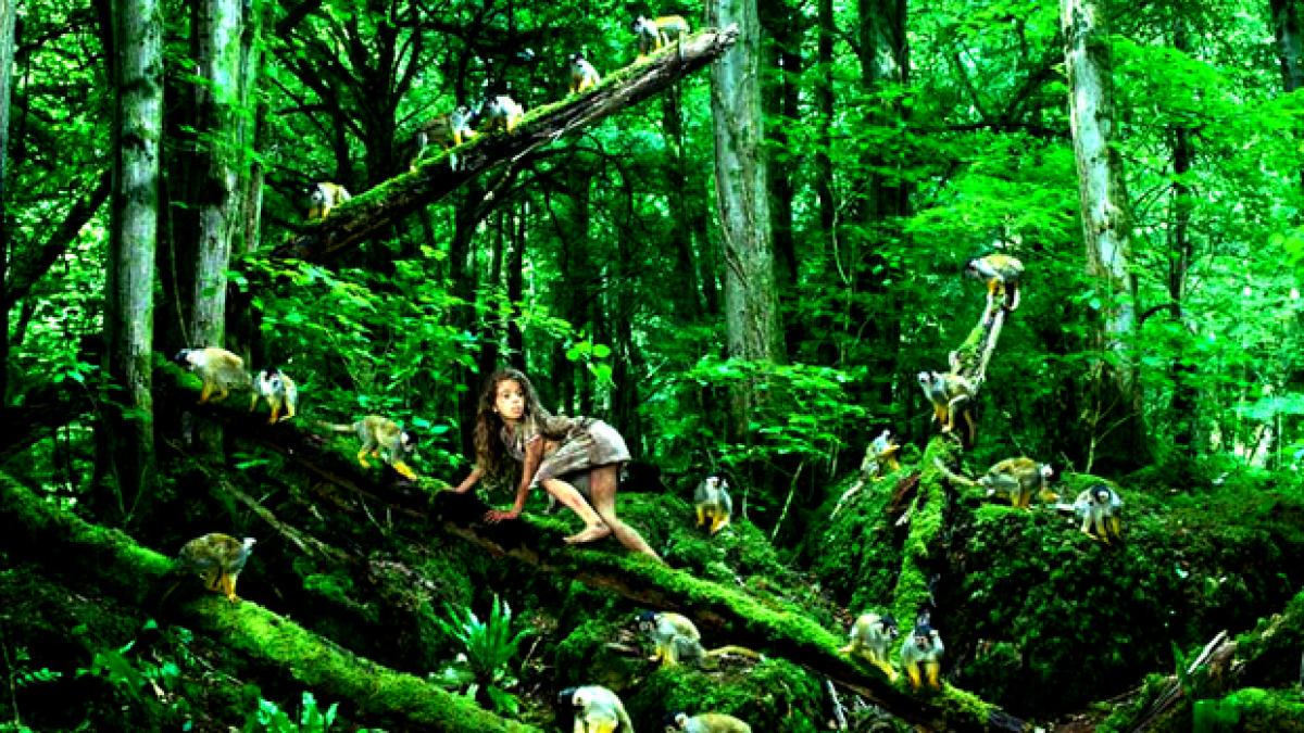 copii animale salbatice salbaticie