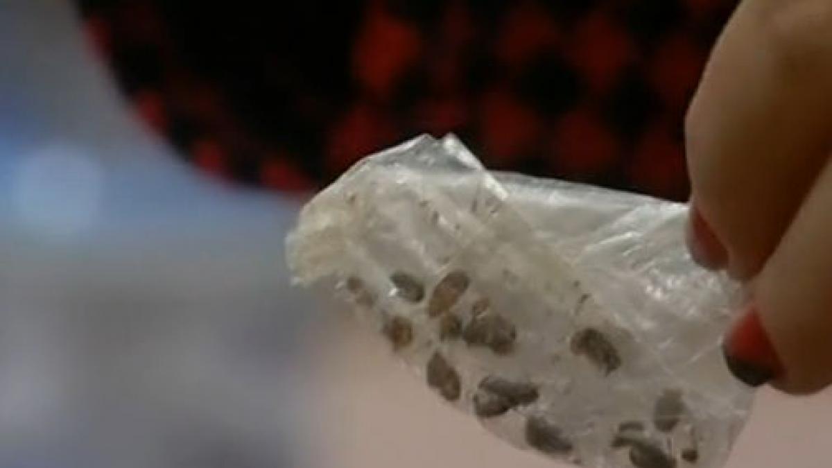 elena udrea gandaci arest parlament