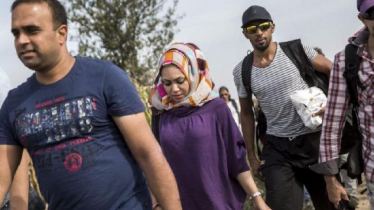 guvernul aloca peste 1 100 de lei pentru fiecare imigrant