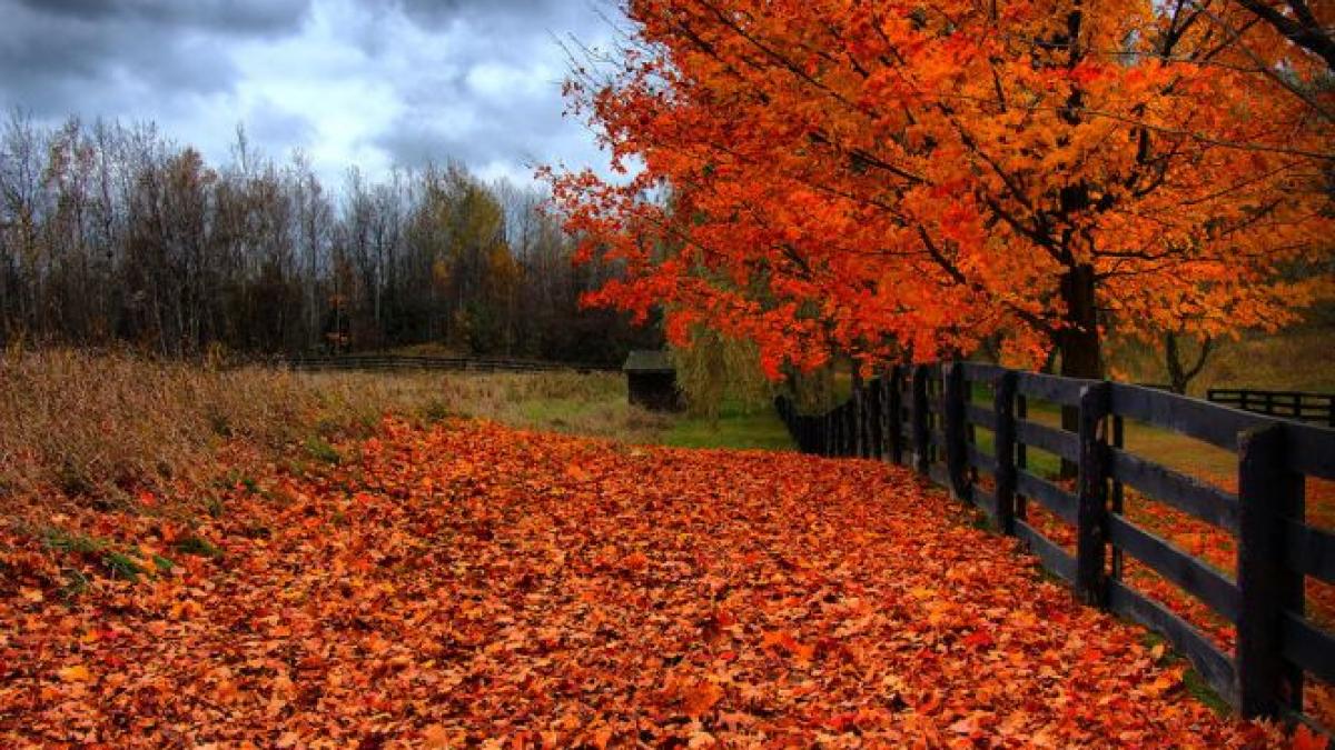 vreme meteo prognoza